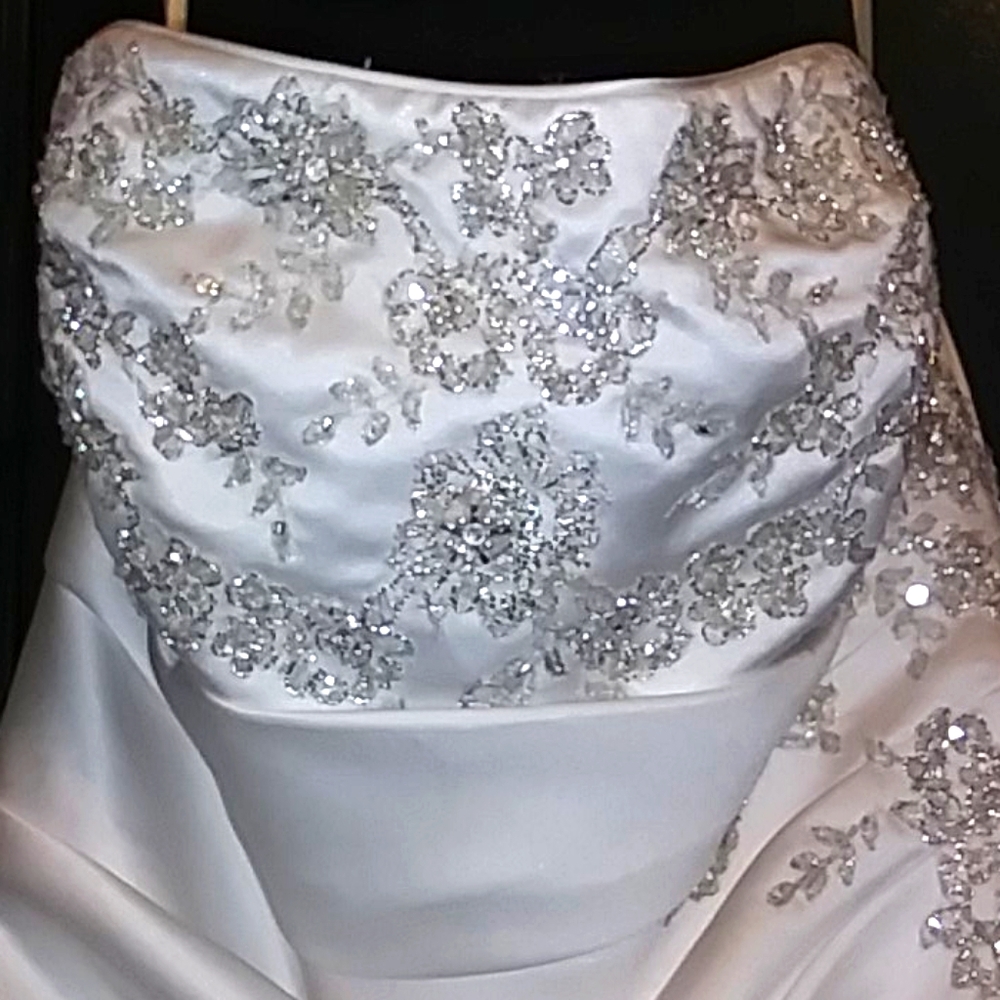 Beautiful Davids Bridal Wedding dress